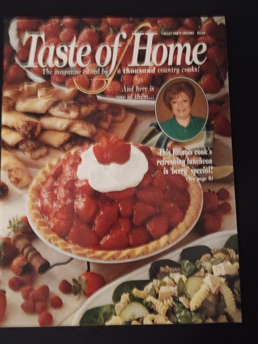 Taste of Home Collector's Edition Magazine 1995